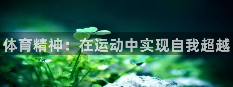 MK体育官网下载平台APP