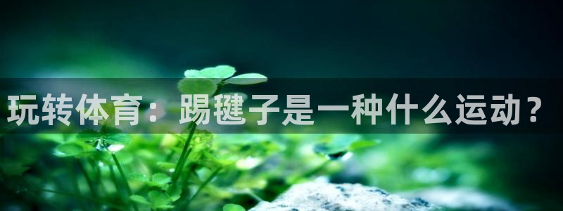 MK体育官网下载软件：玩转体育：踢毽子是一种什么运动？