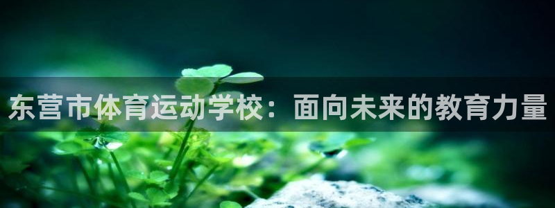 MK体育官网下载招商电话是多少啊