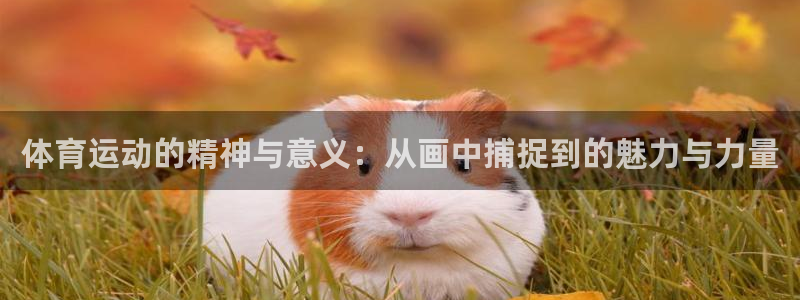 MK体育官网下载招商电话