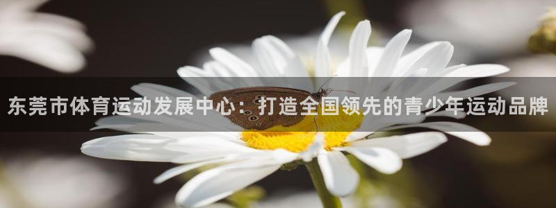 MK体育官方正版app娱乐：东莞市体育运动发展中心：