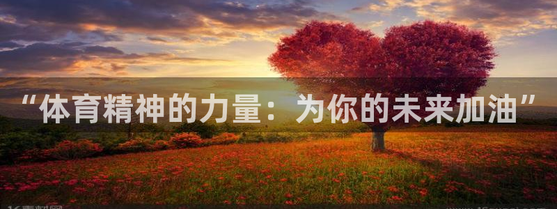 MK体育官方正版app官网：“体育精神的力量：为你的未来加油