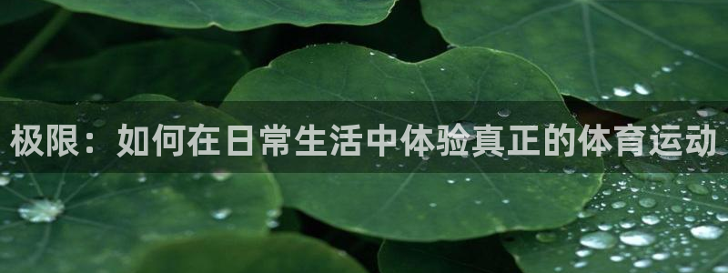 MK体育官网下载平台是正规平台吗安全吗：极限：如何在