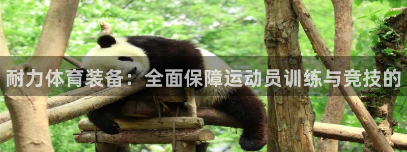 MK体育官方正版app集团官网首页网址：耐力体育装备