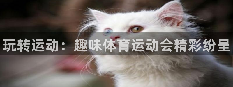 MK体育官网下载招商电话地址是多少：玩转运动：趣味体