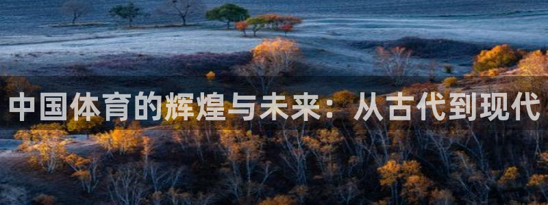 MK体育官网下载平台假的吗是真的吗吗：中国体育的辉煌