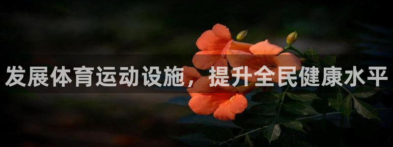 mk体育平台入口手机版安装：发展体育