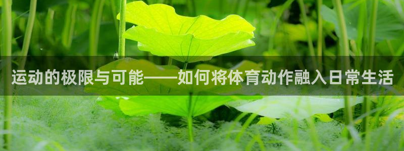 mk体育平台入口手机版安装：运动的极