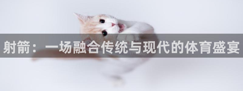 mk体育官网入口网址是多少：射箭：一